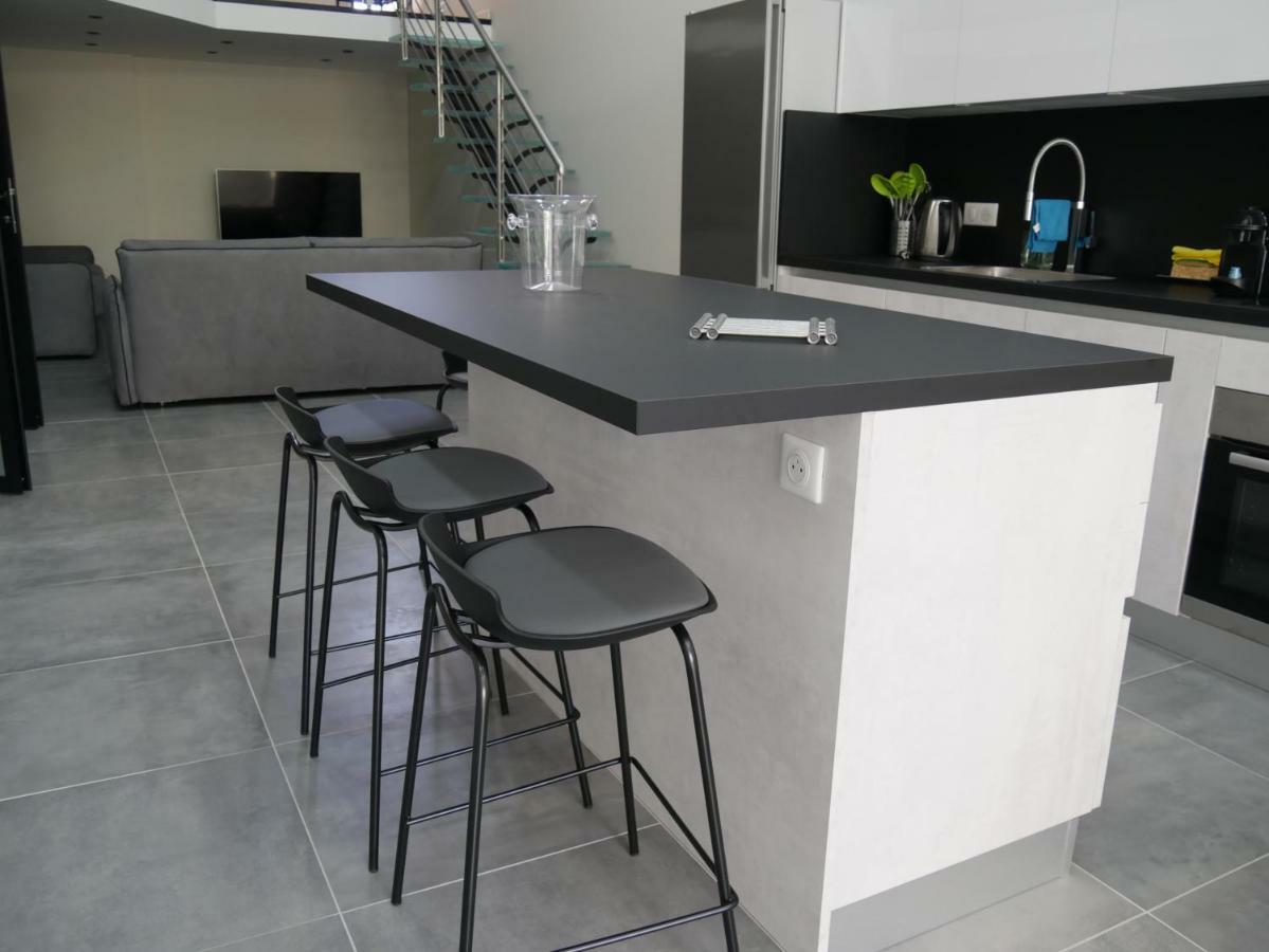 Grand Loft Chic Et Moderne, Deco Industrielle Apartment Beausoleil Exterior photo